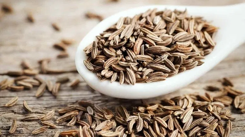 जीरा (Cumin in Hindi): उपयोग, लाभ और न्यूट्रिशनल वैल्यू पर विशेष रिपोर्ट जीरा (Cumin in Hindi): उपयोग, लाभ और न्यूट्रिशनल वैल्यू पर विशेष रिपोर्ट